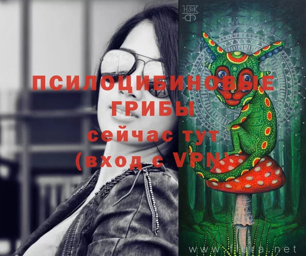 прущая мука Арсеньев