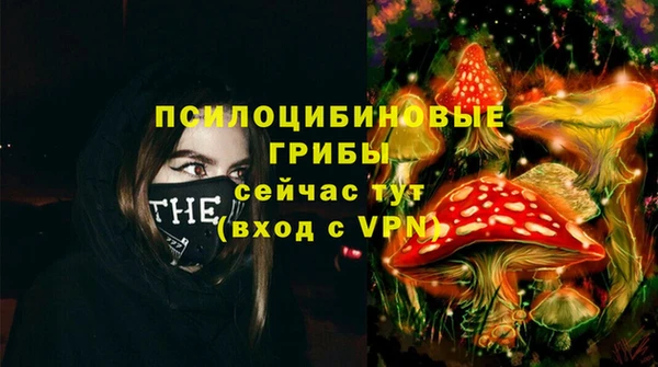 прущая мука Арсеньев